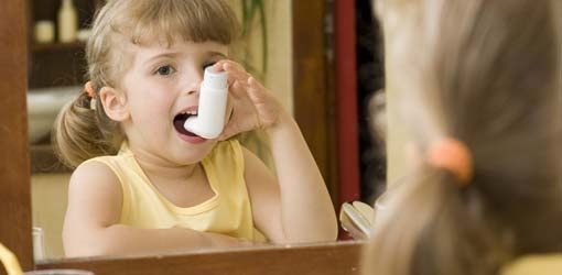 Bakterien und Pilze schützen Kinder vor Asthma