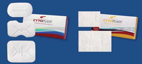 Sybron Cytoplast-Membranen
