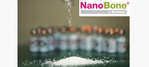 NanoBone