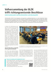 issueImage