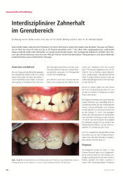 issueImage