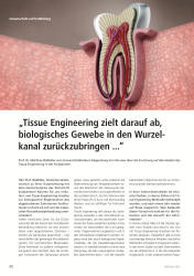 issueImage