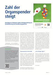issueImage