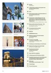 issueImage