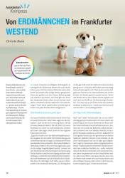 issueImage