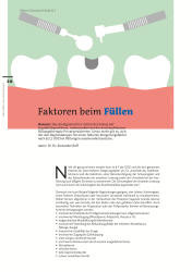issueImage