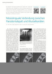issueImage