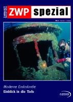 issueImage