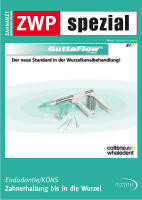 issueImage