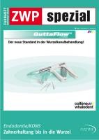 issueImage