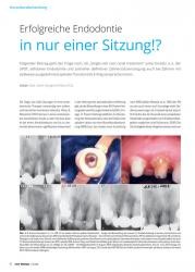 issueImage