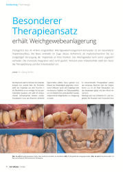 issueImage