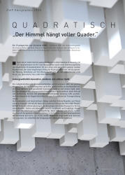issueImage