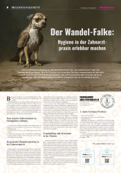 issueImage