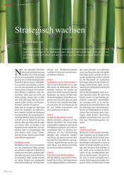 issueImage
