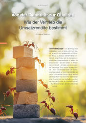 issueImage