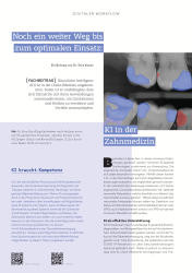 issueImage
