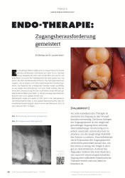 issueImage