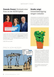 issueImage