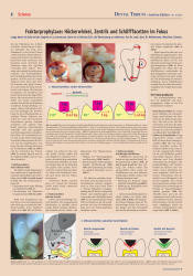 issueImage