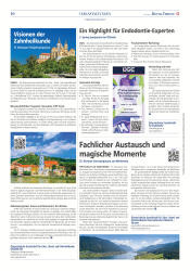 issueImage