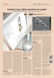 issueImage