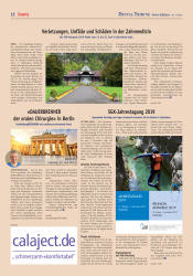 issueImage