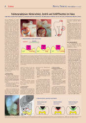 issueImage