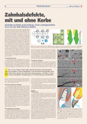 issueImage