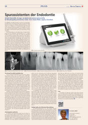 issueImage