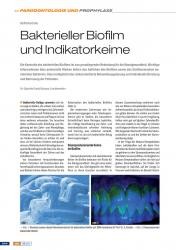 issueImage