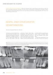 issueImage