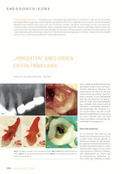 issueImage