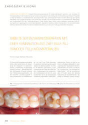 issueImage
