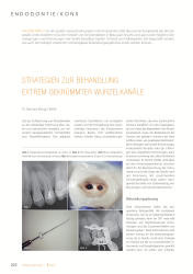issueImage