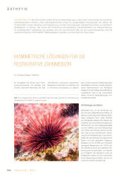 issueImage