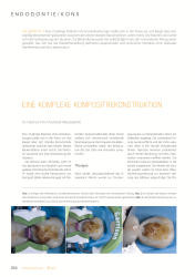 issueImage