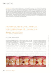 issueImage