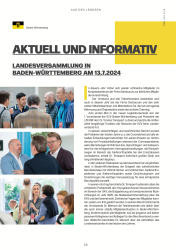 issueImage