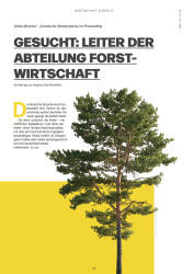 issueImage