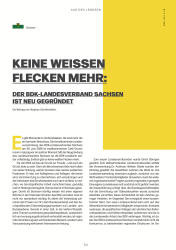 issueImage