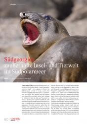 issueImage