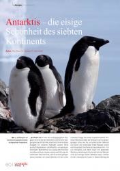 issueImage