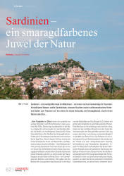 issueImage