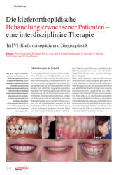 issueImage