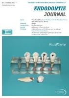 issueImage