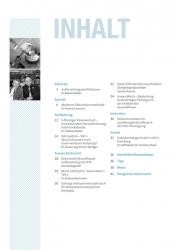 issueImage
