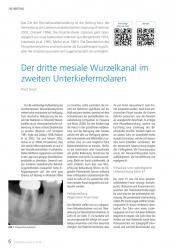 issueImage