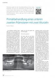 issueImage