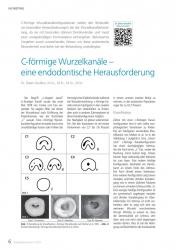 issueImage